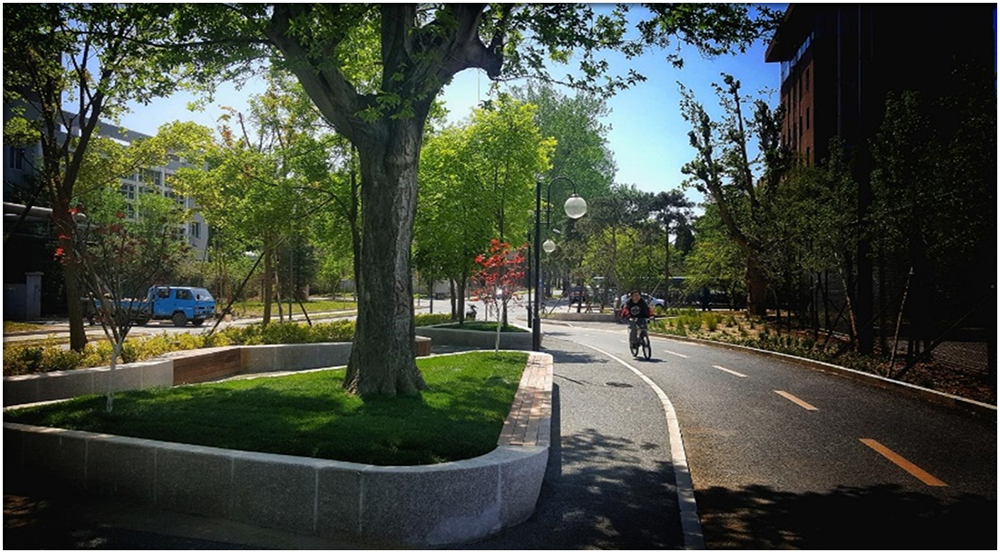 海绵校园景观——清华大学小图.png